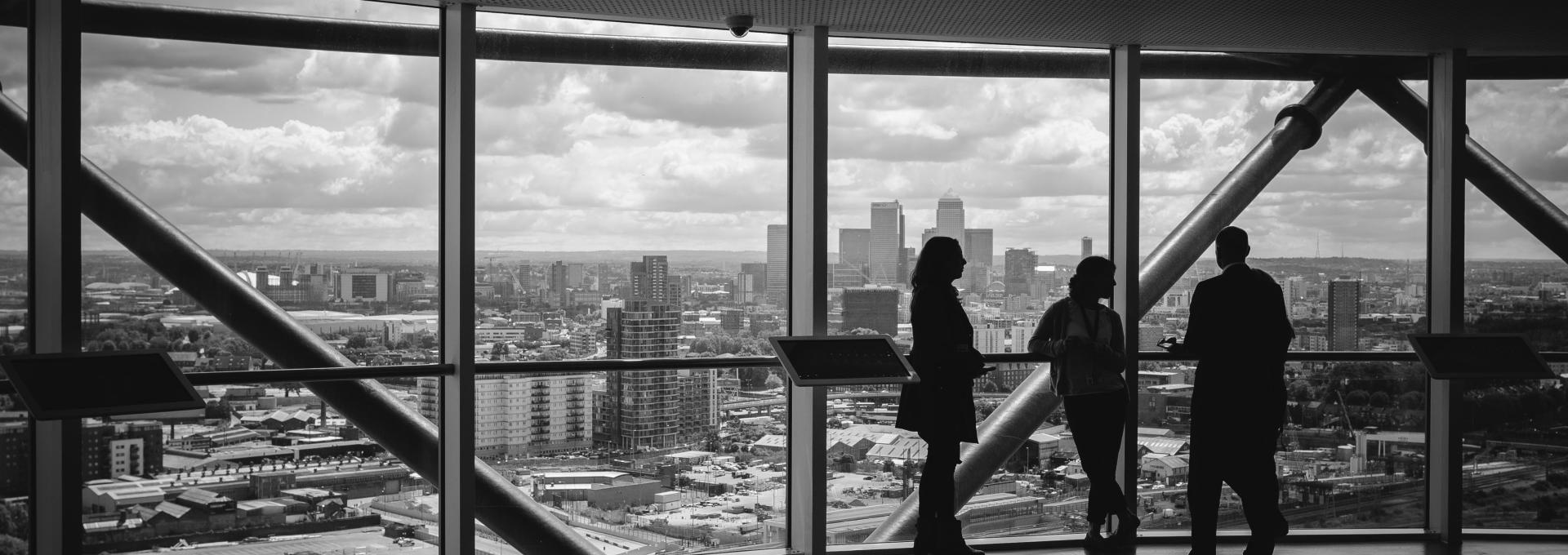 group of individuals overlooking city